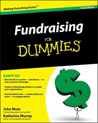  ¿Fundraising for Dummies? Un viaje por los caminos del éxito empresarial en Malasia!