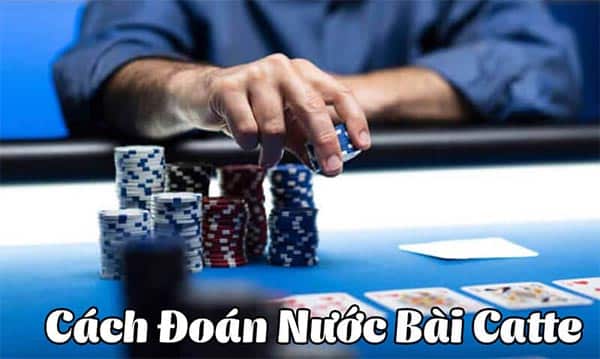 Bỏ túi những mẹo hay khi tham gia chơi catte Bỏ túi những mẹo hay khi tham gia chơi catte