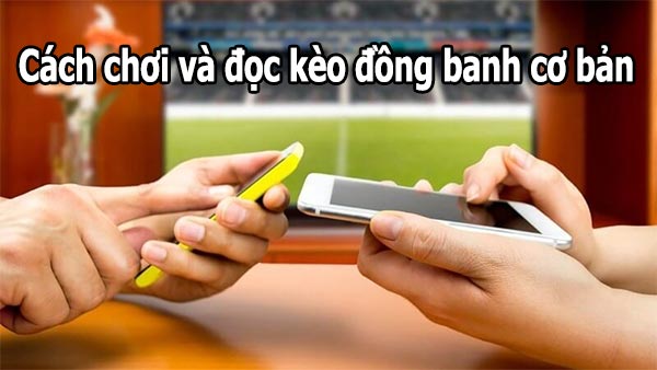 Những thông tin hướng dẫn cách chơi và đọc kèo cơ bản Những thông tin hướng dẫn cách chơi và đọc kèo cơ bản