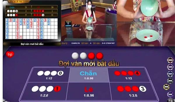 Những điều cần chú ý trong dự đoán xóc đĩa Những điều cần chú ý trong dự đoán xóc đĩa