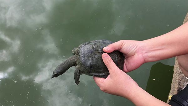 Cách giải đen lô đề đánh số mấy và một số mẹo tránh vận đen Cách giải đen lô đề đánh số mấy và một số mẹo tránh vận đen