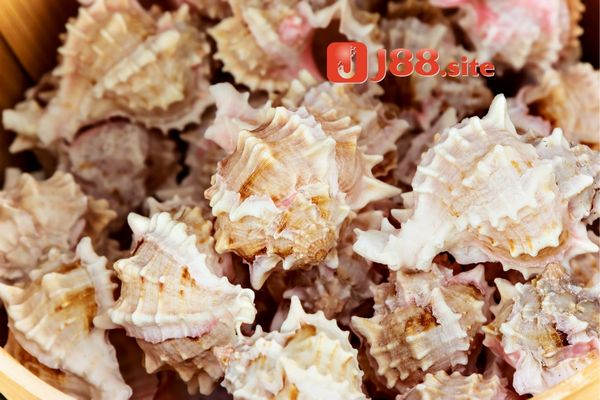 Ngủ mơ thấy ốc sên lên tay có ý nghĩa như thế nào? Ngủ mơ thấy ốc sên lên tay có ý nghĩa như thế nào?