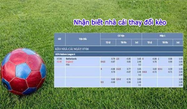 Nghiên cứu trận đấu và sự biến thiên của kèo Nghiên cứu trận đấu và sự biến thiên của kèo
