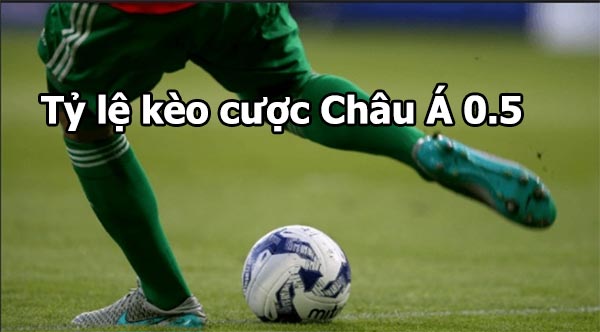 Tỷ lệ kèo cược châu Á 0.5 (chấp nửa trái) Tỷ lệ kèo cược châu Á 0.5 (chấp nửa trái)